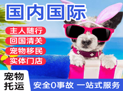 锦州锦州湾机场空运国际宠物托运 【国